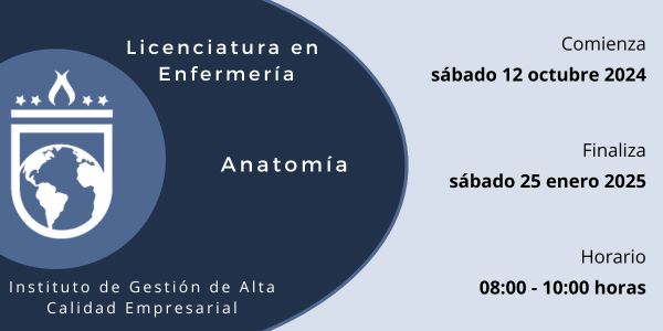 1024 octubre24 ENF Anatomía SA1